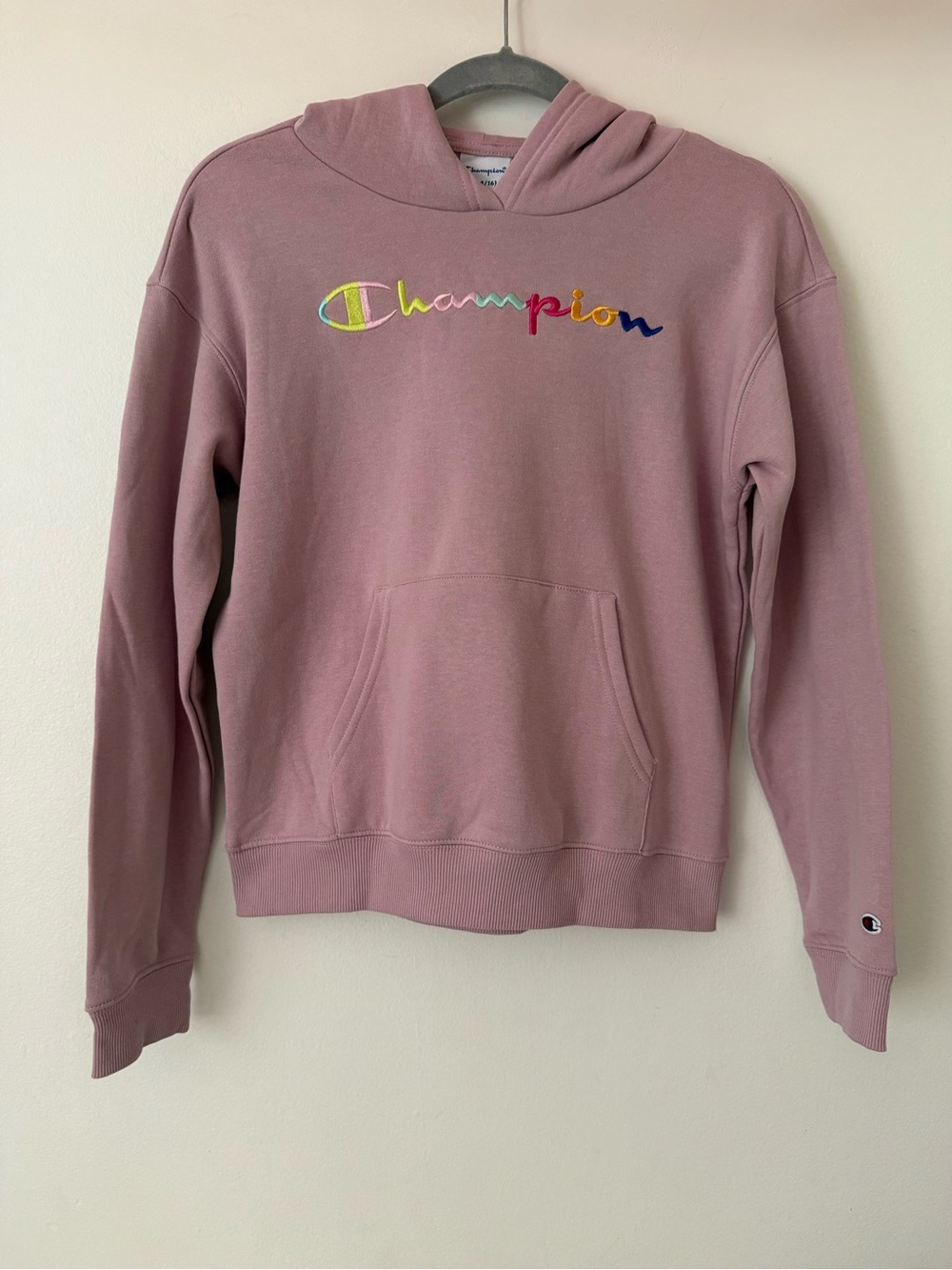 Champion Girls Pink Rainbow Logo Hoodie Size 14/16
